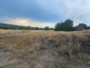 Area verde in vendita a Quartu Sant'Elena