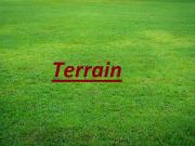 Aressy Vente Terrain 64