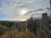 Aretina Terreno agricolo Uliveto fronte strada