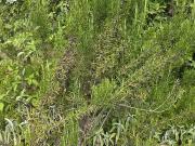 Argenton sur Creuse 36200 Achat / Vente terrain au...