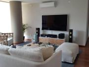 Aristóteles, Polanco, Miguel Hidalgo