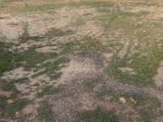 Ark Vista Residency 100 Sq. Yd. Plot in Vijay Nagar...