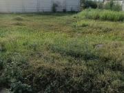 Ark Vista Residency 100 Sq. Yd. Plot in Vijay Nagar...