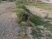 Ark Vista Residency 160 Sq. Yd. Plot in Vijay Nagar...