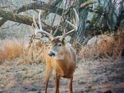 Arkansaw WI 54721 LS95884537