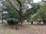 Arles Vente Appartement 13