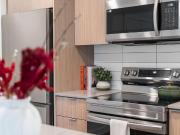 Arlo One Bed Apartment for Rent