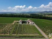 Arnas 69400 Achat / Vente maison 8 pièces t8 terrasse