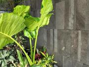 Arquitectura única, lujo en cada detalle