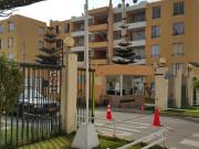 ARREINDO DEPARTAMENTO POR OFICINA LASTENIA