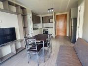 Arrienda departamento amoblado estilo mariposa en Concepción