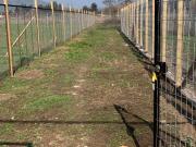 ARRIENDA, PAINE, TERRENO 2.500 M2, COLONIA KENNEDY