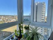 Arriendo amoblado costa de montemar Concón