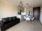 ARRIENDO AMOBLADO DPTO 1D+1B+1BODEGA