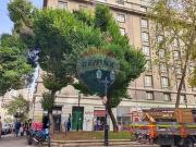Arriendo amplia oficina Paseo Bulnes