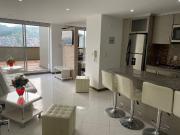 Arriendo, Apartaestudio Amoblado, avenida Santander,...