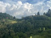 ARRIENDO APARTAMENTO EN EL BARRIO LA SULTANA, MANIZALES