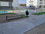 ARRIENDO AÑO CORRIDO EN CONDOMINIO