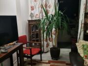 Arriendo comodo departamento, sector sur, Antofagasta