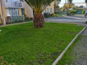 ARRIENDO CÓMODO DEPTO. CONDOMIMIO SOL DEL PACÍFICO QUILPUÉ