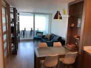 ARRIENDO CONCON CERCANO A LAS DUNAS