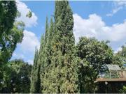 ARRIENDO DE CASA INDEPENDIENTE EN ENVIGADO SECTOR LAS...