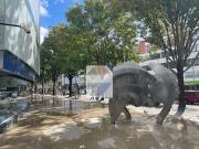 ARRIENDO de OFICINAS en BOGOTA