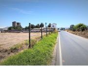 Arriendo de sitio de 3.000 m2, en San Pedro, Quillota