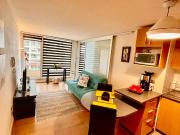 Arriendo departamento 1d parque urbano concepcion