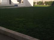 ARRIENDO DEPARTAMENTO 3HAB 1BA RANCAGUA