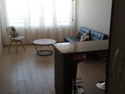 Arriendo departamento amoblado 1D1B en Espacio Parque