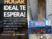Arriendo departamento amoblado