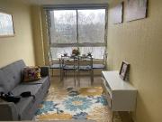 Arriendo departamento amoblado