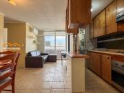 Depto Amoblado 2d Alto La Paloma 2 Estac. $480.000