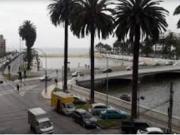ARRIENDO DEPARTAMENTO, AVENIDA MARINA, VIÑA DEL MAR