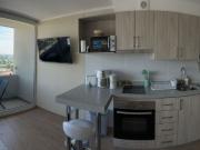 Arriendo Departamento Estudio Amoblado en Chillán,...