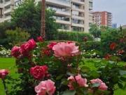 Arriendo Departamento Las condes Las Malvas