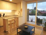 ARRIENDO DEPARTAMENTO VILLA ALEMANA, Villa Alemana,...