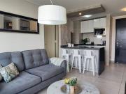 Arriendo Departamento Ñuñoa Plaza Ñuñoa / Amoblado