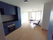 ARRIENDO Departamentos 1 1/2 D2B, Hospital Fach