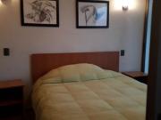 Arriendo depto. amoblado 1 dorm. arriendo mensual