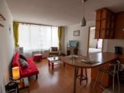 ARRIENDO DEPTO AMOBLADO 1DORM 1BA BELLAVISTA RECOLETA