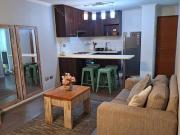 Arriendo Depto Amoblado 570.000 / Sector Centro Norte