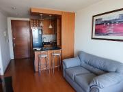 ARRIENDO DEPTO AMOBLADO UN DOR VISTA DESPEJADA