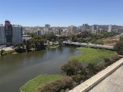 Arriendo Depto Centro Viña 1D1B Marzo a diciembre incluye GC