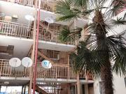 Arriendo Depto Regimiento Arica 3D y1B