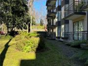 Arriendo Diario En Pucón Austral Partners