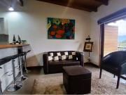 Arriendo dpto. Año Corrido, zona céntrica Pucón