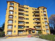 ARRIENDO EXCELENTE DEPARTAMENTO RECIEN REMODELADO, 4...
