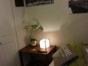 Arriendo habitación